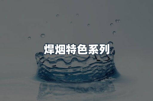 焊烟特色系列