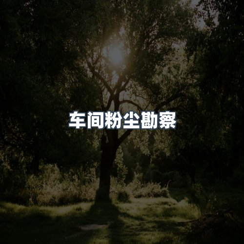 服务优势